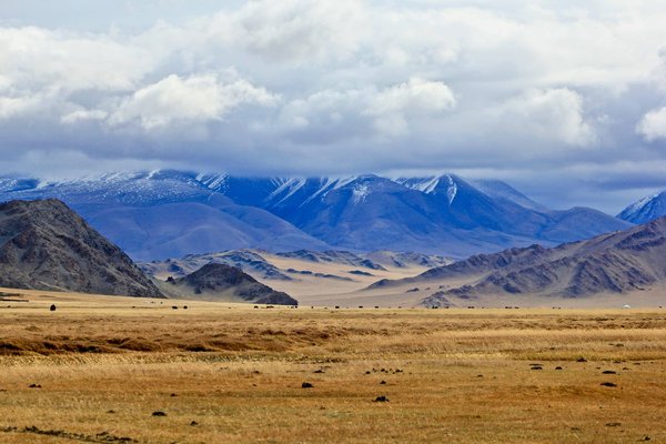 Comment vivre une aventure en Mongolie avec les nomades locaux ?